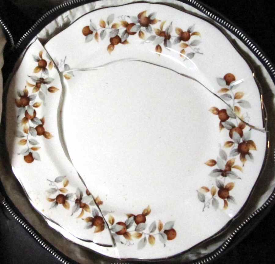 Appledale Dinner Plate by Ridgway (Ridgways)-1