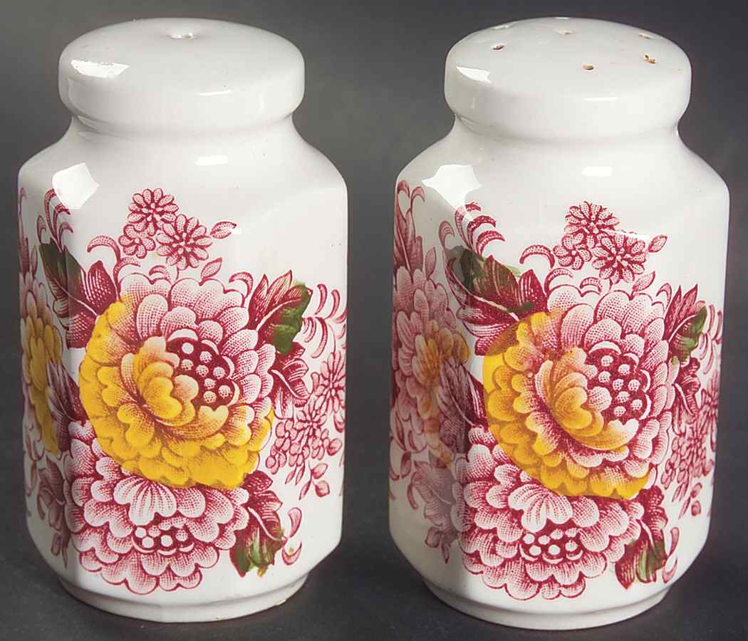 Canterbury Red Multicolor Salt & Pepper Set by Ridgway (Ridgways)-1