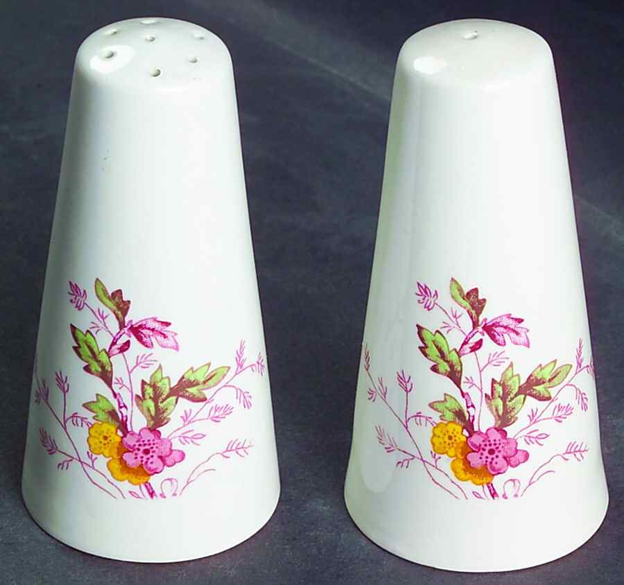 English Garden Salt & Pepper Set by Ridgway (Ridgways)-1