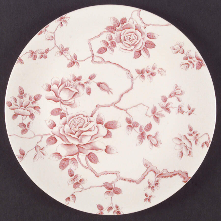 Shadow Rose Dinner Plate by Ridgway (Ridgways)-1