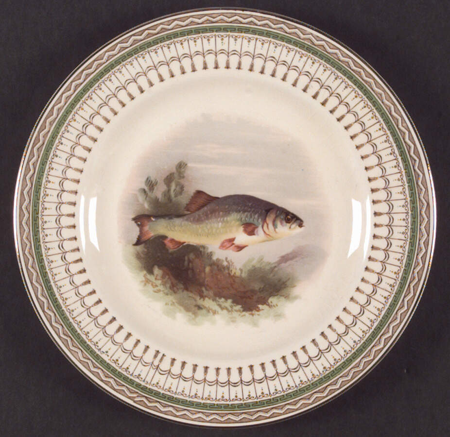 Venetian Green (Fish Center Design) Salad Plate by Ridgway (Ridgways)-1