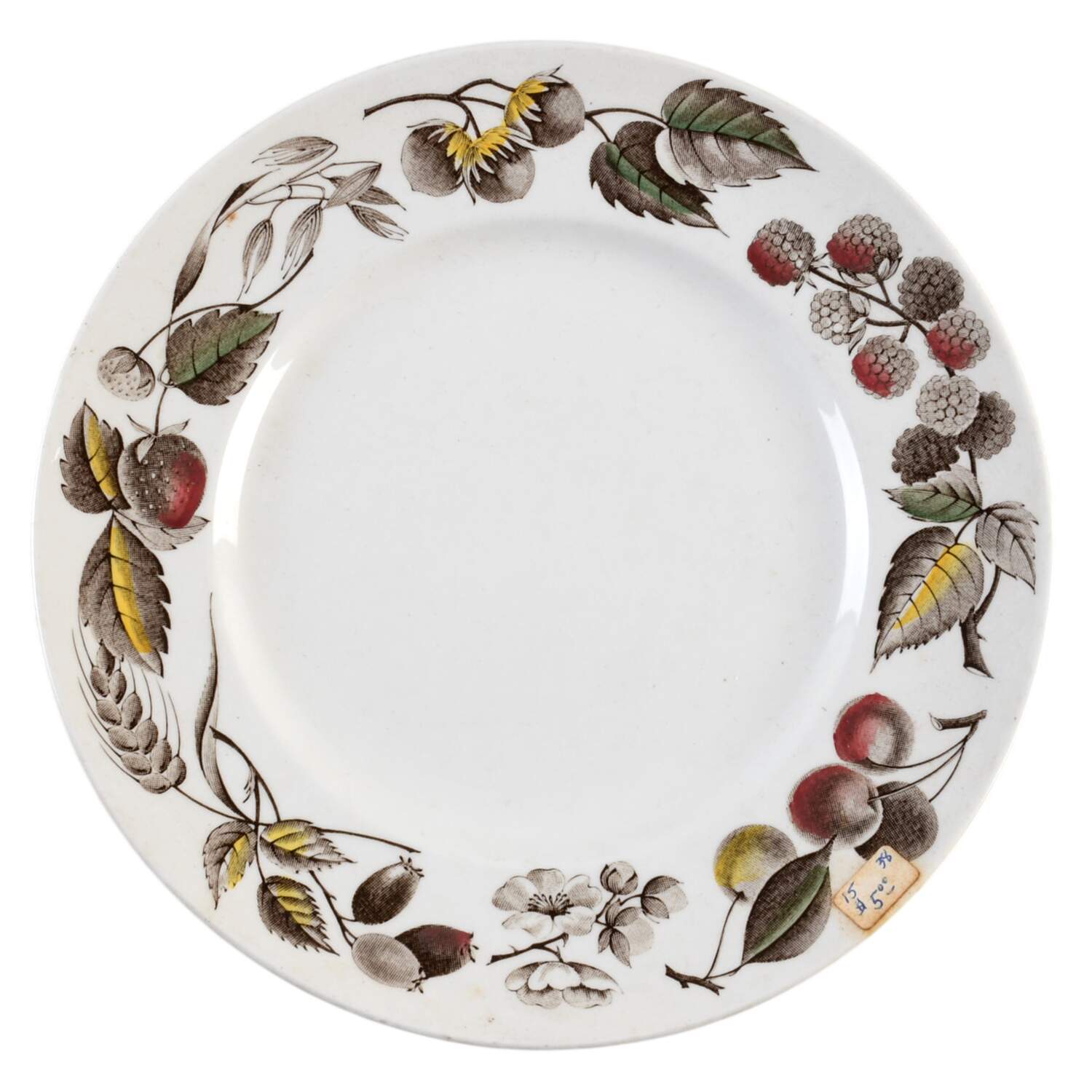 Warwick Salad Plate by Ridgway (Ridgways)-1