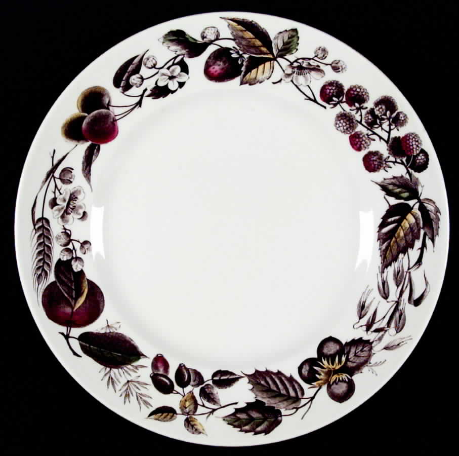 Warwick Dinner Plate by Ridgway (Ridgways)-1