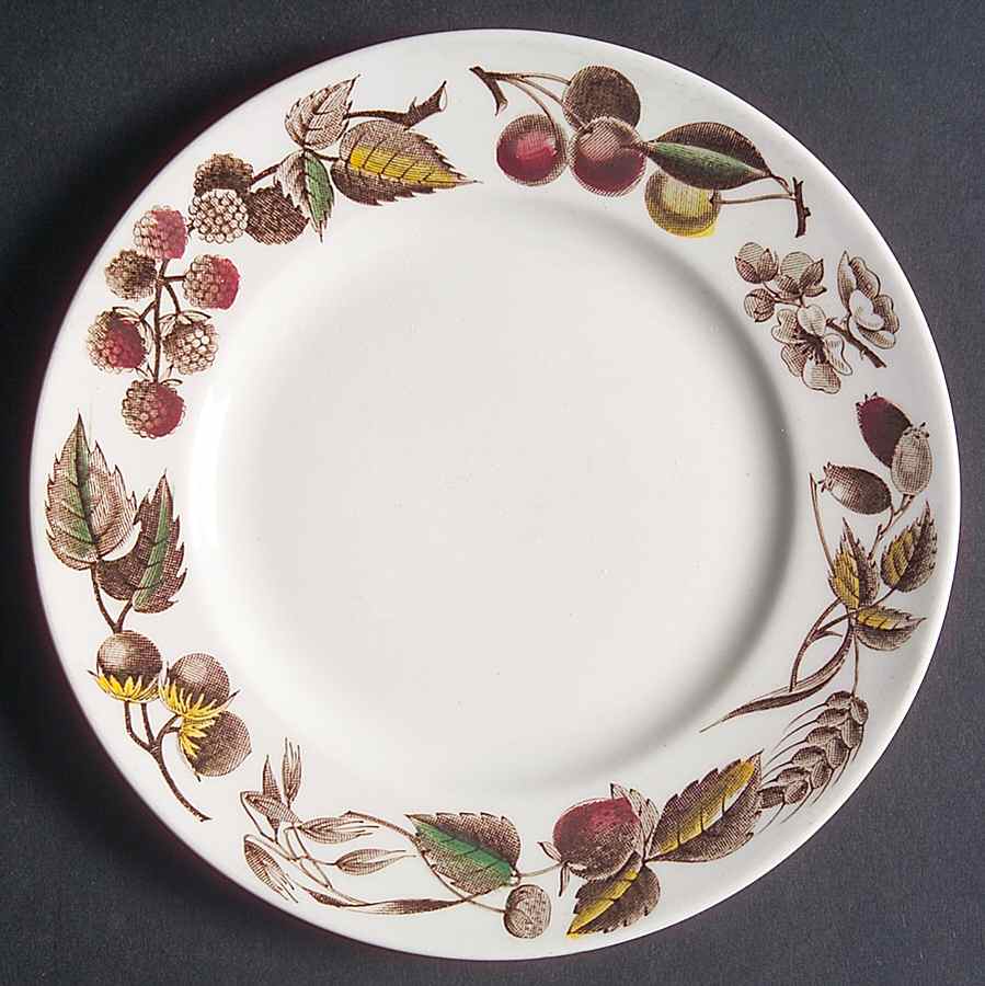 Warwick Bread & Butter Plate by Ridgway (Ridgways)-1