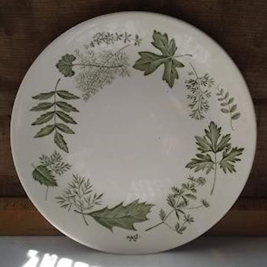 Woodside Bread & Butter Plate by Ridgway (Ridgways)-1