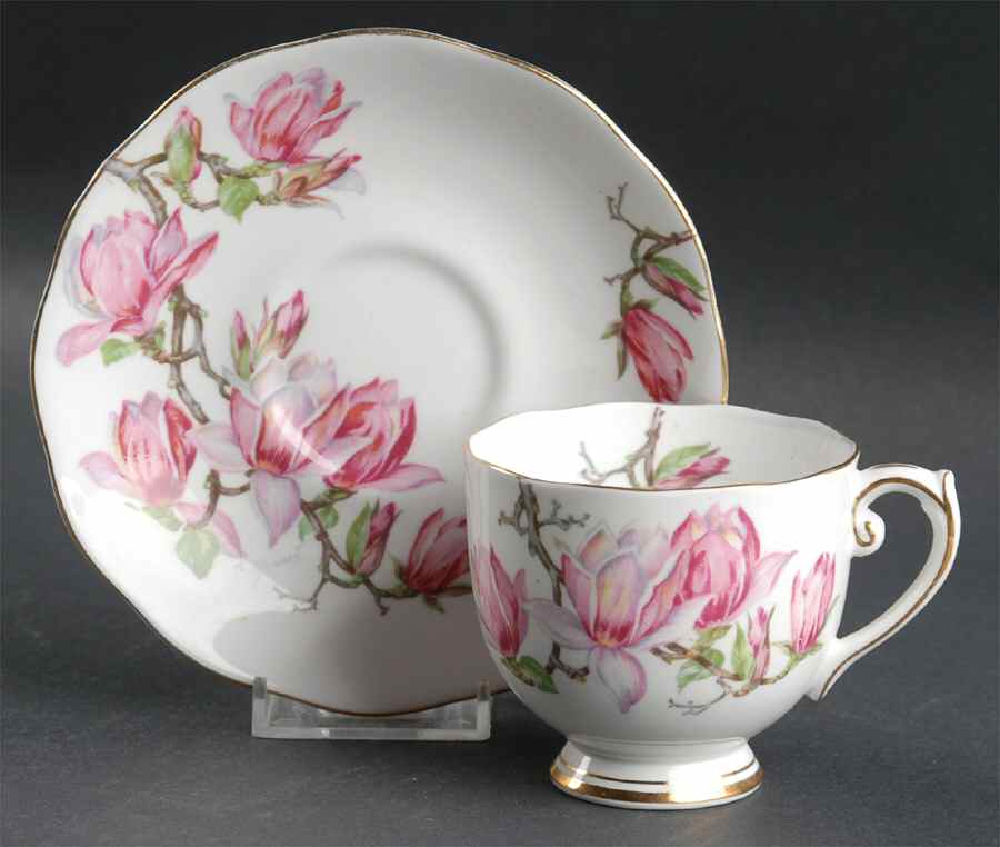 Magnolia Footed Cup & Saucer Set by Roslyn (England)-1