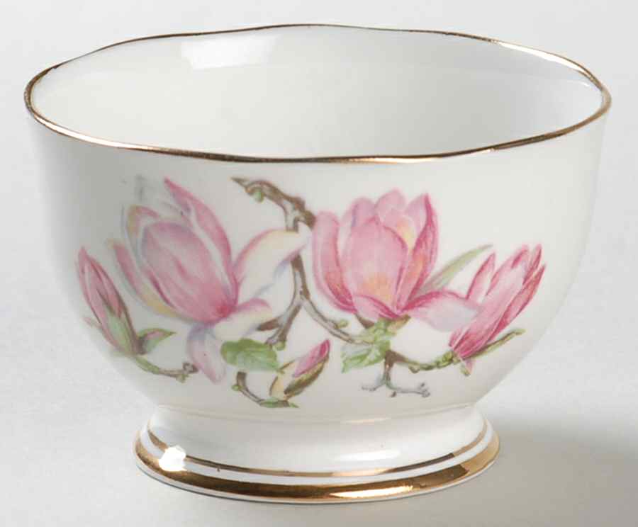 Magnolia Mini Open Sugar Bowl by Roslyn (England)-1
