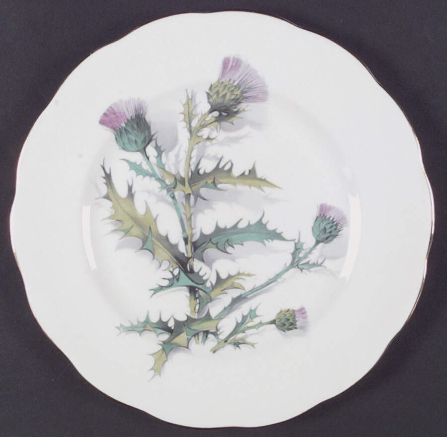 Queen O'Th' Highlands Dinner Plate by Roslyn (England)-1