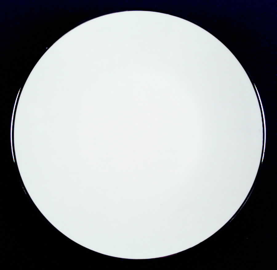 Royal Platinum Dinner Plate by Royal Magnus-1