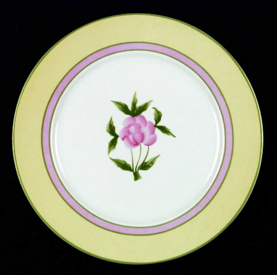 RNA1 Dinner Plate by Nelly Reynal-1