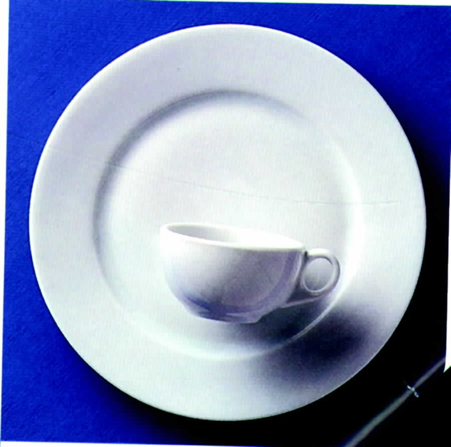 Tailored White Dinner Plate by Rosanna-1