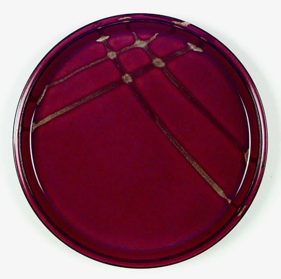RNM1 Dinner Plate by Ranmaru-1