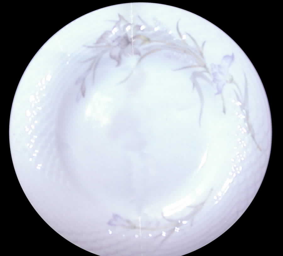 Daffodil Large Rim Soup Bowl by Renoir-1