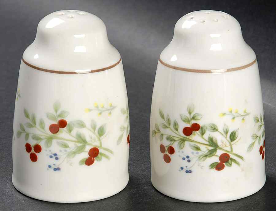 Bitter Sweet Salt & Pepper Set by Royal Albert-1