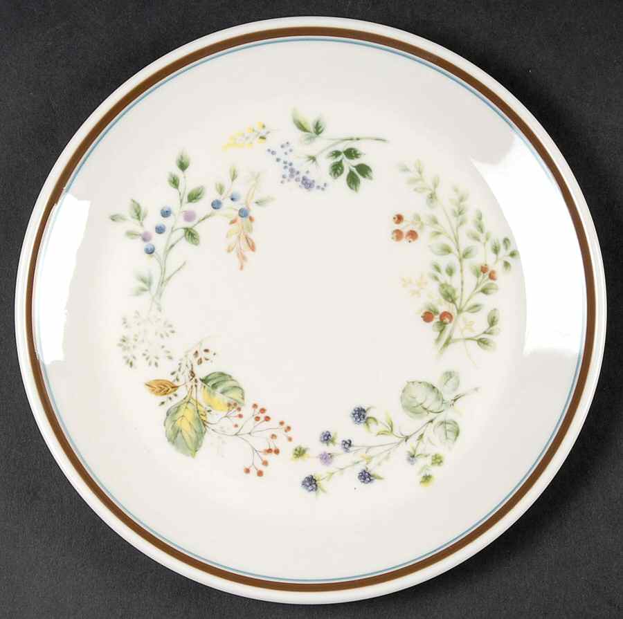 Bitter Sweet Salad Plate by Royal Albert-1