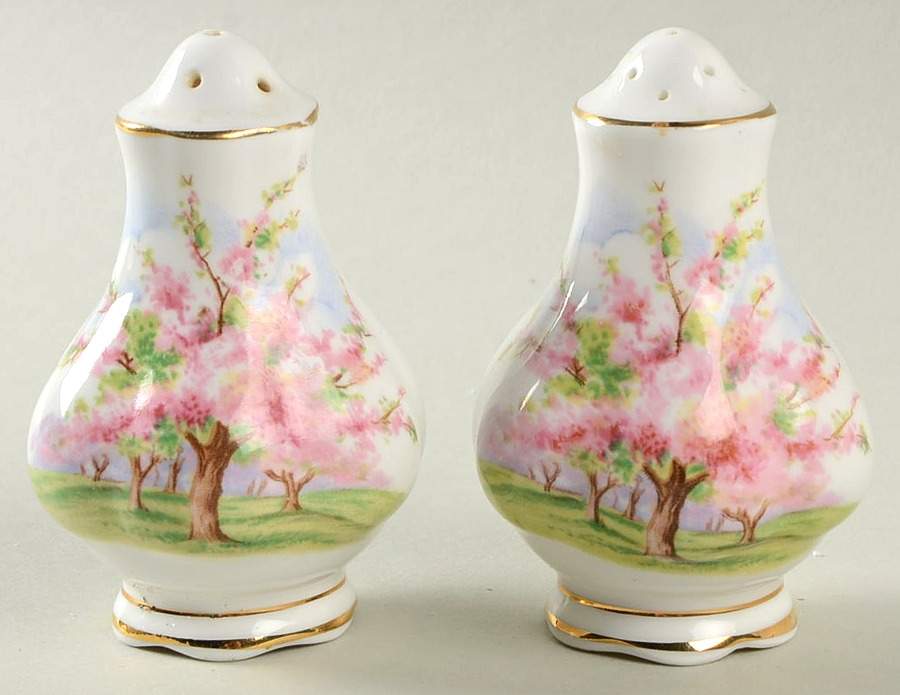 Blossom Time Salt & Pepper Set by Royal Albert-1