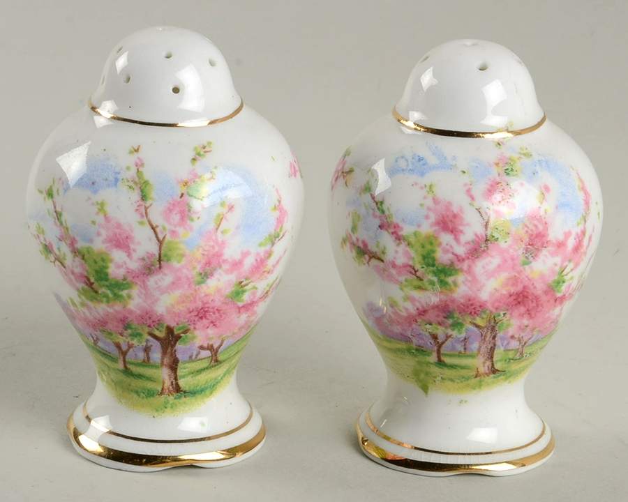 Blossom Time Salt & Pepper Set by Royal Albert-1