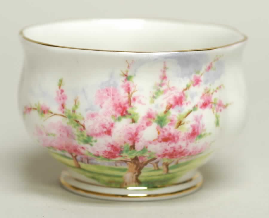 Blossom Time Mini Open Sugar Bowl by Royal Albert-1