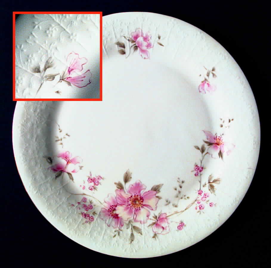 Breath of Spring Dinner Plate by Royal Albert-1