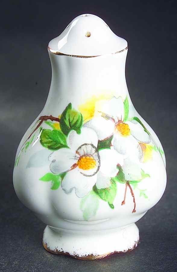 Dogwood Salt Shaker by Royal Albert-1