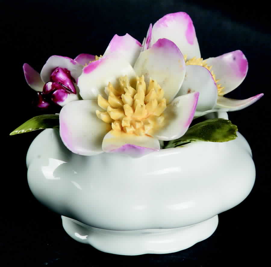 Flower of The Month (Newer, Montrose) Floral Cluster by Royal Albert-1