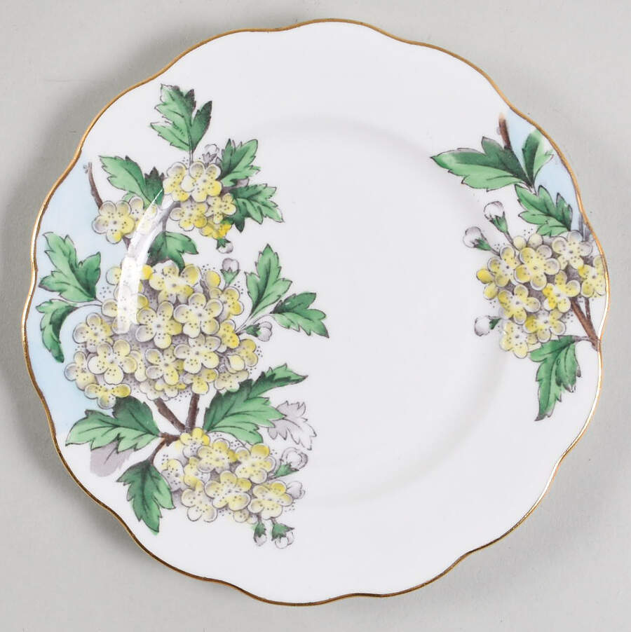 Flower of The Month (Older, Hampton) Bread & Butter Plate by Royal Albert-1