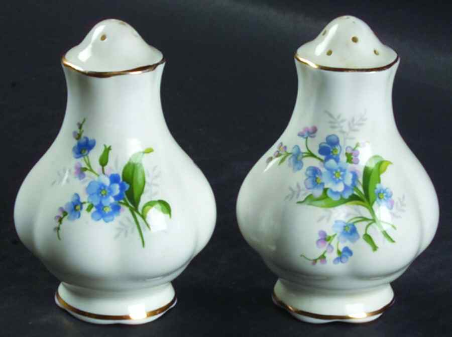 Forget Me Not Salt & Pepper Set by Royal Albert-1
