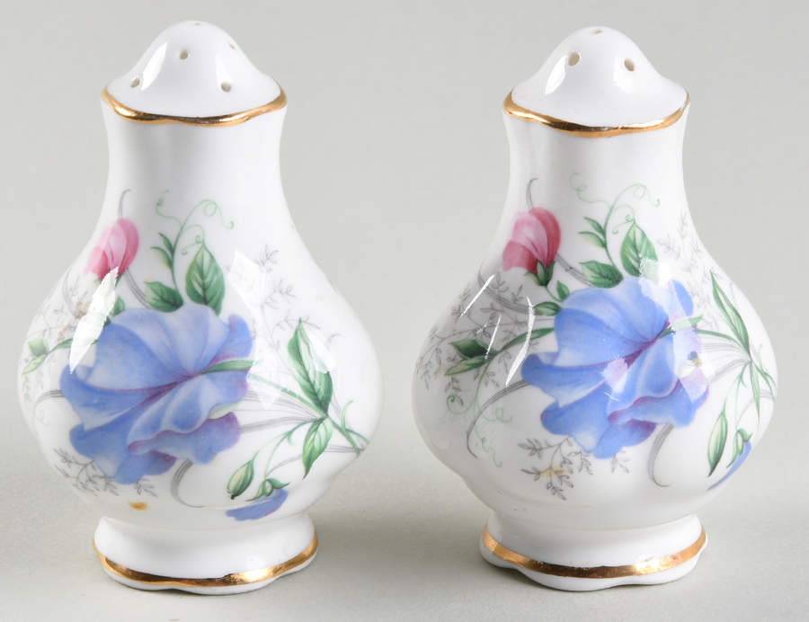 Friendship Series Salt & Pepper Set by Royal Albert-1