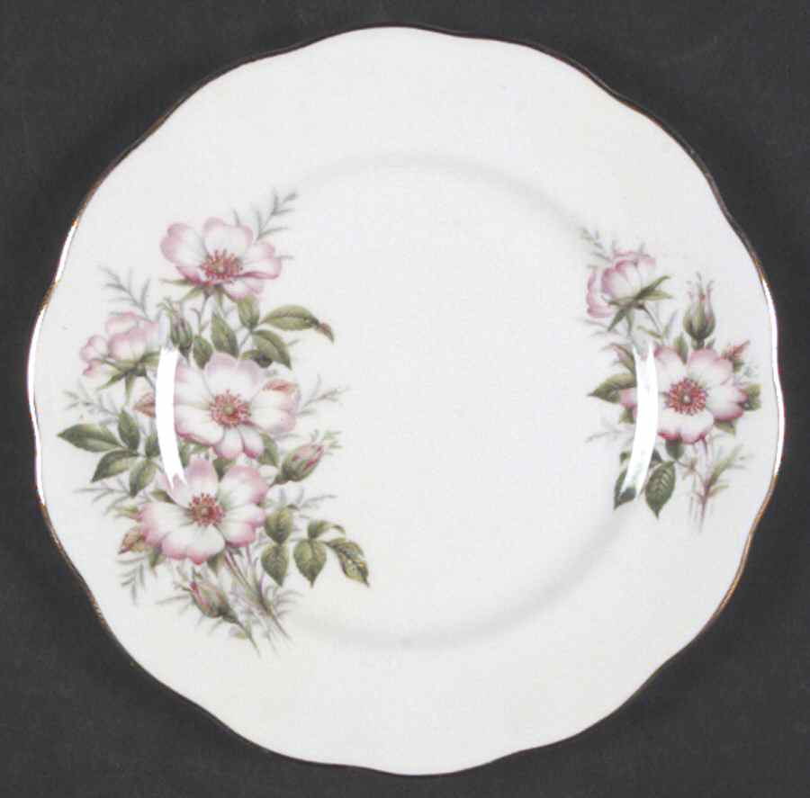 Friendship Series Bread & Butter Plate by Royal Albert-1