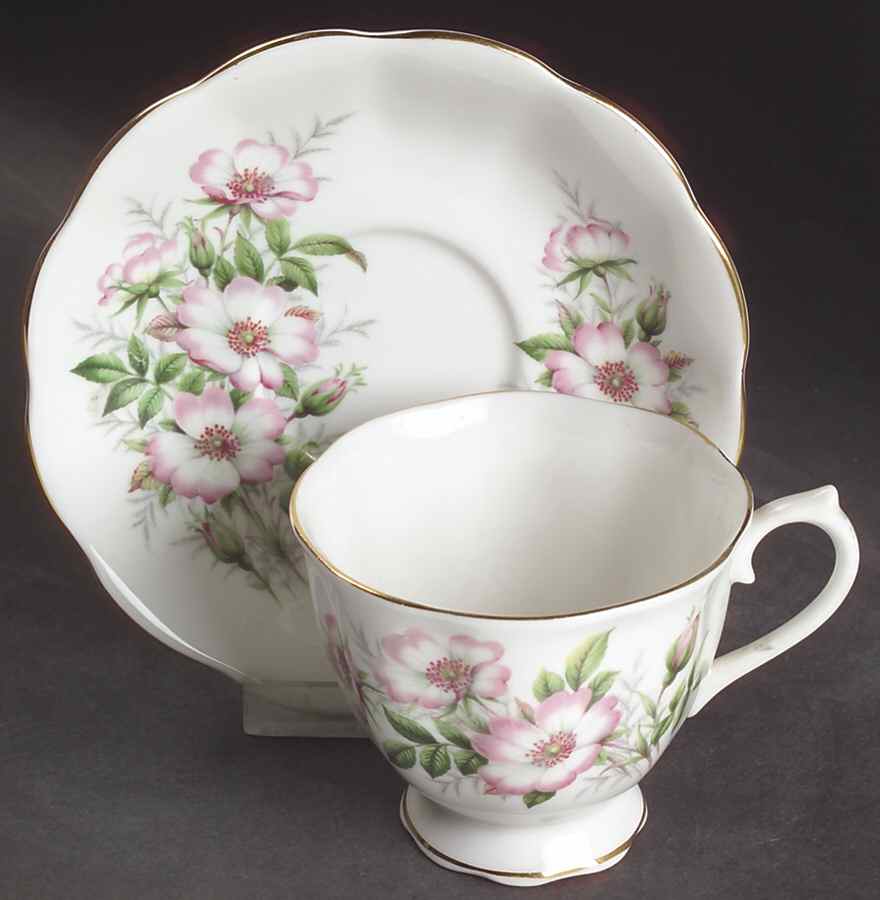 Friendship Series Footed Cup & Saucer Set by Royal Albert-1