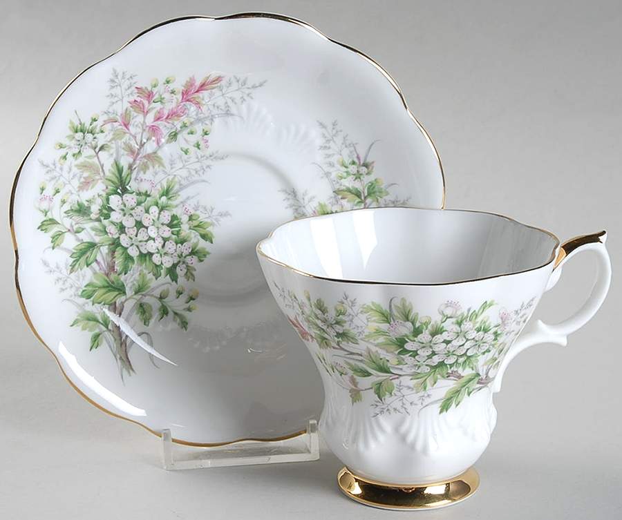 Friendship Series Footed Cup & Saucer Set by Royal Albert-1