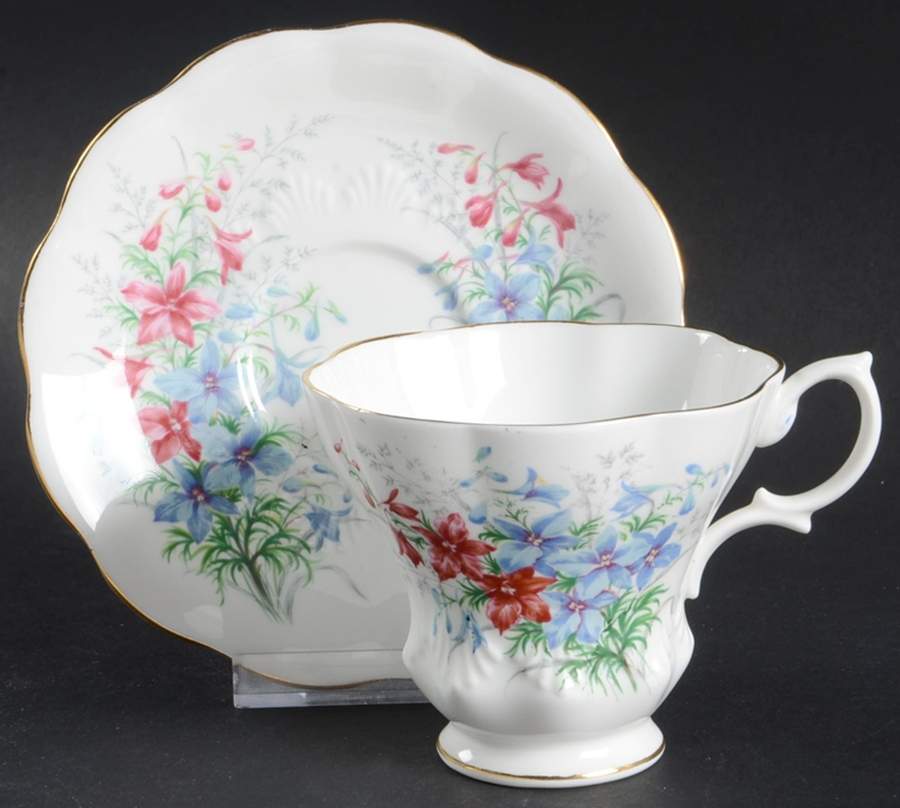 Friendship Series Footed Cup & Saucer Set by Royal Albert-1