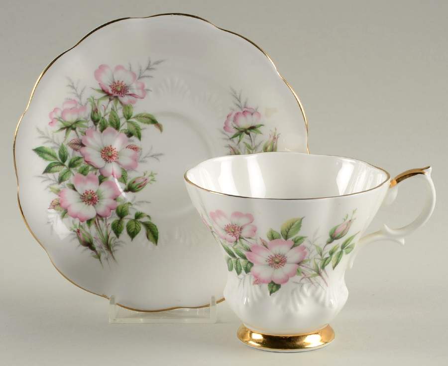 Friendship Series Footed Cup & Saucer Set by Royal Albert-1