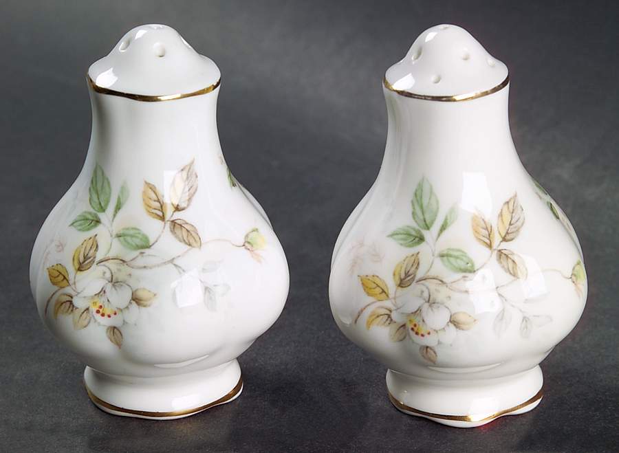 Haworth Salt & Pepper Set by Royal Albert-1