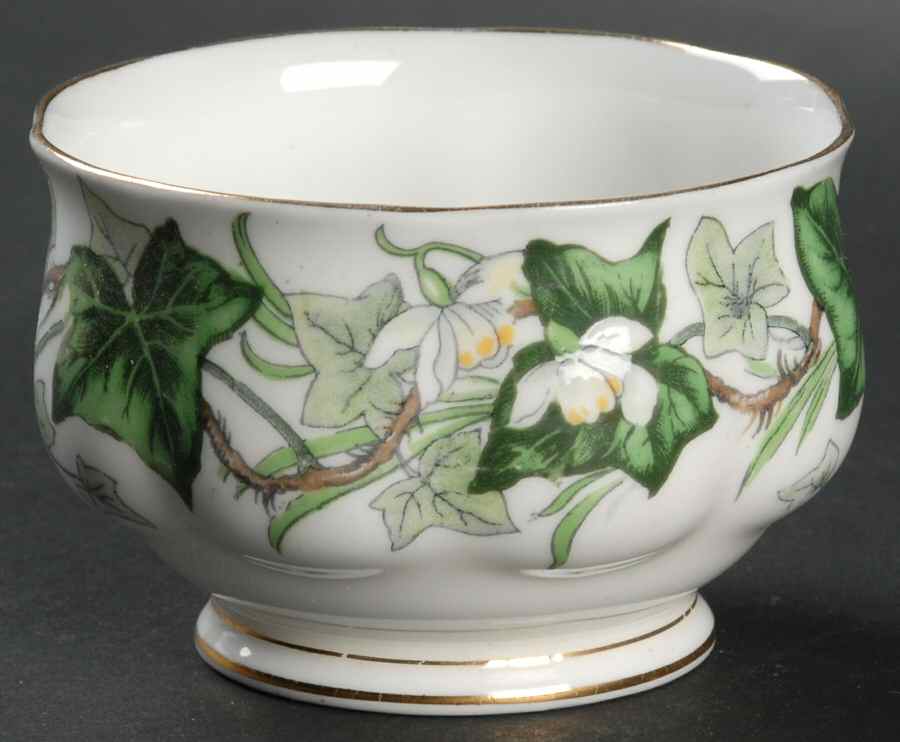Ivy Lea Mini Open Sugar Bowl by Royal Albert-1