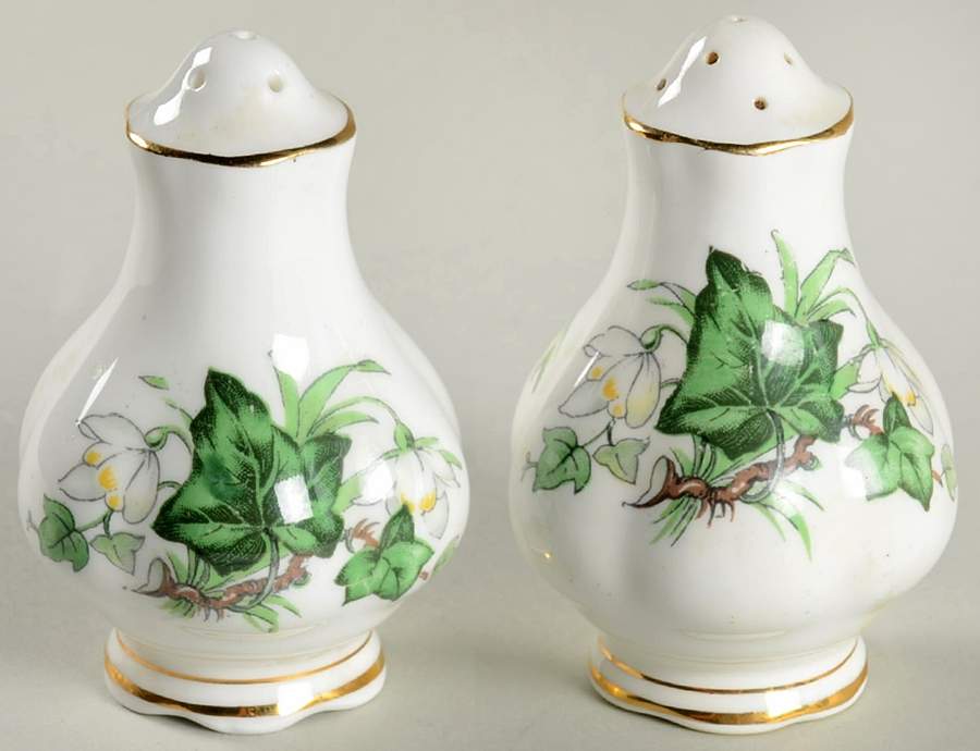 Ivy Lea Salt & Pepper Set by Royal Albert-1