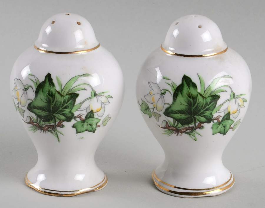Ivy Lea Salt & Pepper Set by Royal Albert-1