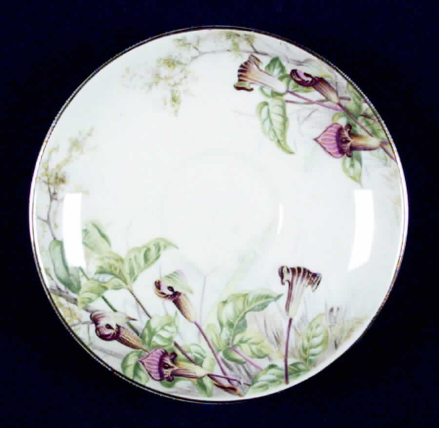 Jack In The Pulpit Saucer by Royal Albert-1