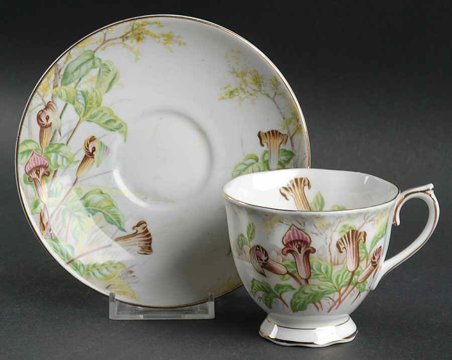 Jack In The Pulpit Footed Cup & Saucer Set by Royal Albert-1