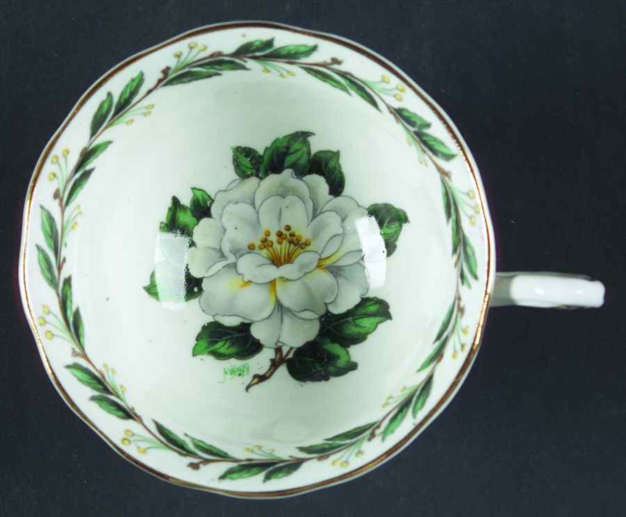 Lady Clare Footed Cup by Royal Albert-1