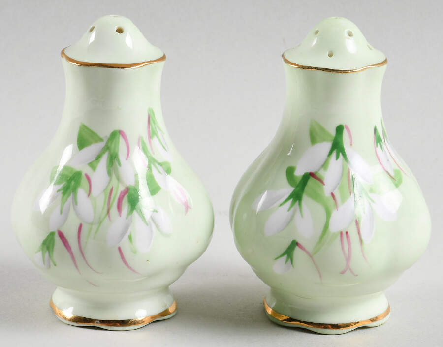 Laurentian Snowdrop Pale Green Salt & Pepper Set by Royal Albert-1