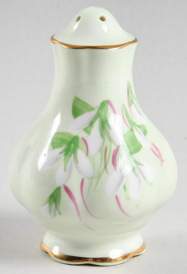 Laurentian Snowdrop Pale Green Salt Shaker by Royal Albert-1