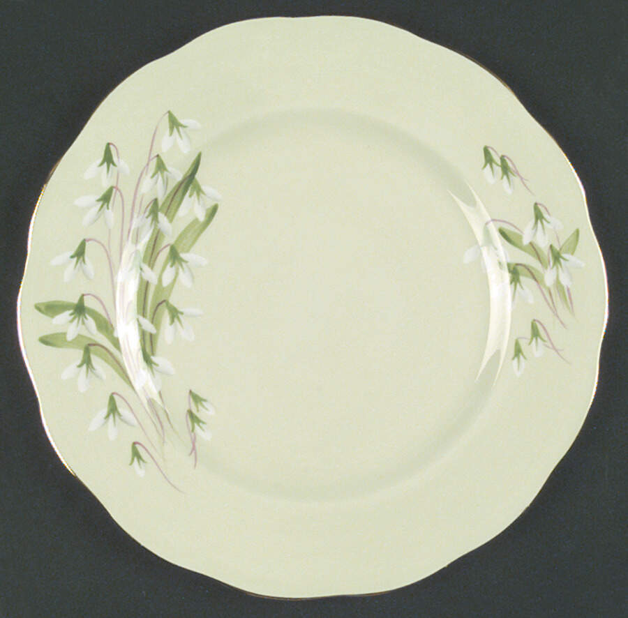 Laurentian Snowdrop Pale Green Dinner Plate by Royal Albert-1