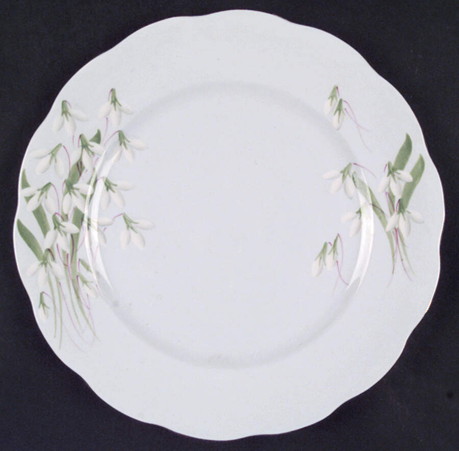 Laurentian Snowdrop Pale Blue Dinner Plate by Royal Albert-1