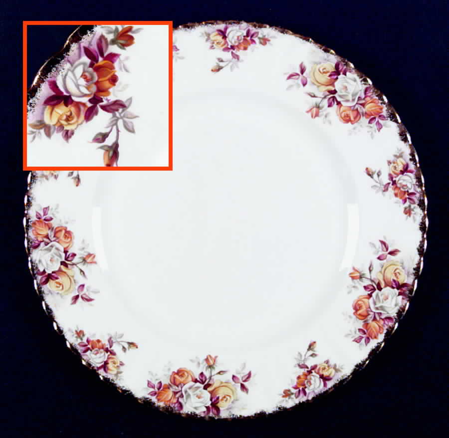 Lenora Dinner Plate by Royal Albert-1
