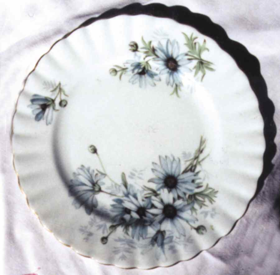 Marguerite (Montrose Shape) Dinner Plate by Royal Albert-1