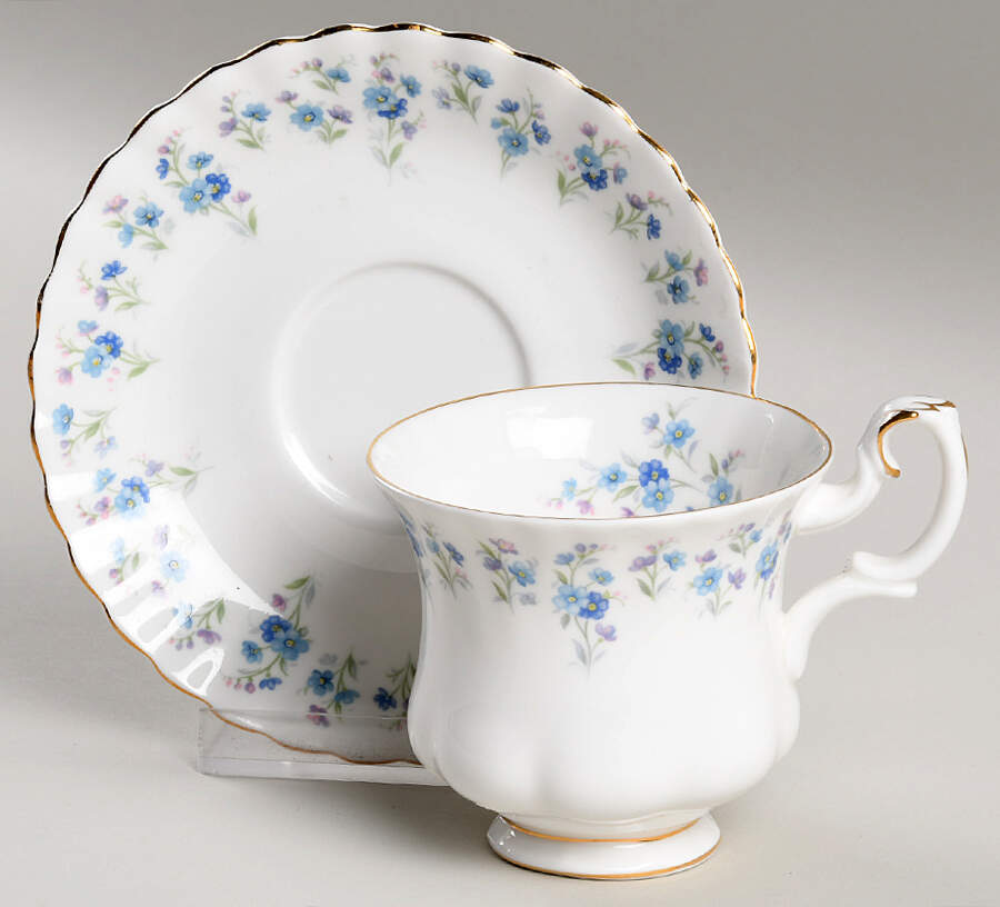 Memory Lane Footed Cup & Saucer Set by Royal Albert-1