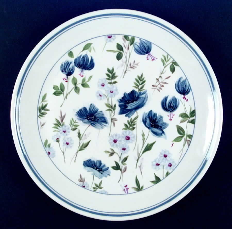 Meadow Song Dinner Plate by Royal Albert-1