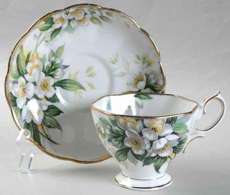 Orange Blossom (Gold Trim) Footed Cup & Saucer Set by Royal Albert-1