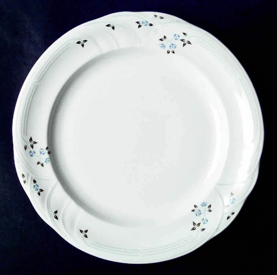 Patio Dinner Plate by Royal Albert-1